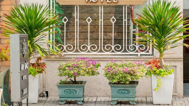 L’extérieur de l’hôtel Anh Dao se distingue par une enseigne bien visible, un portail décoratif en métal et des plantes en pot.
