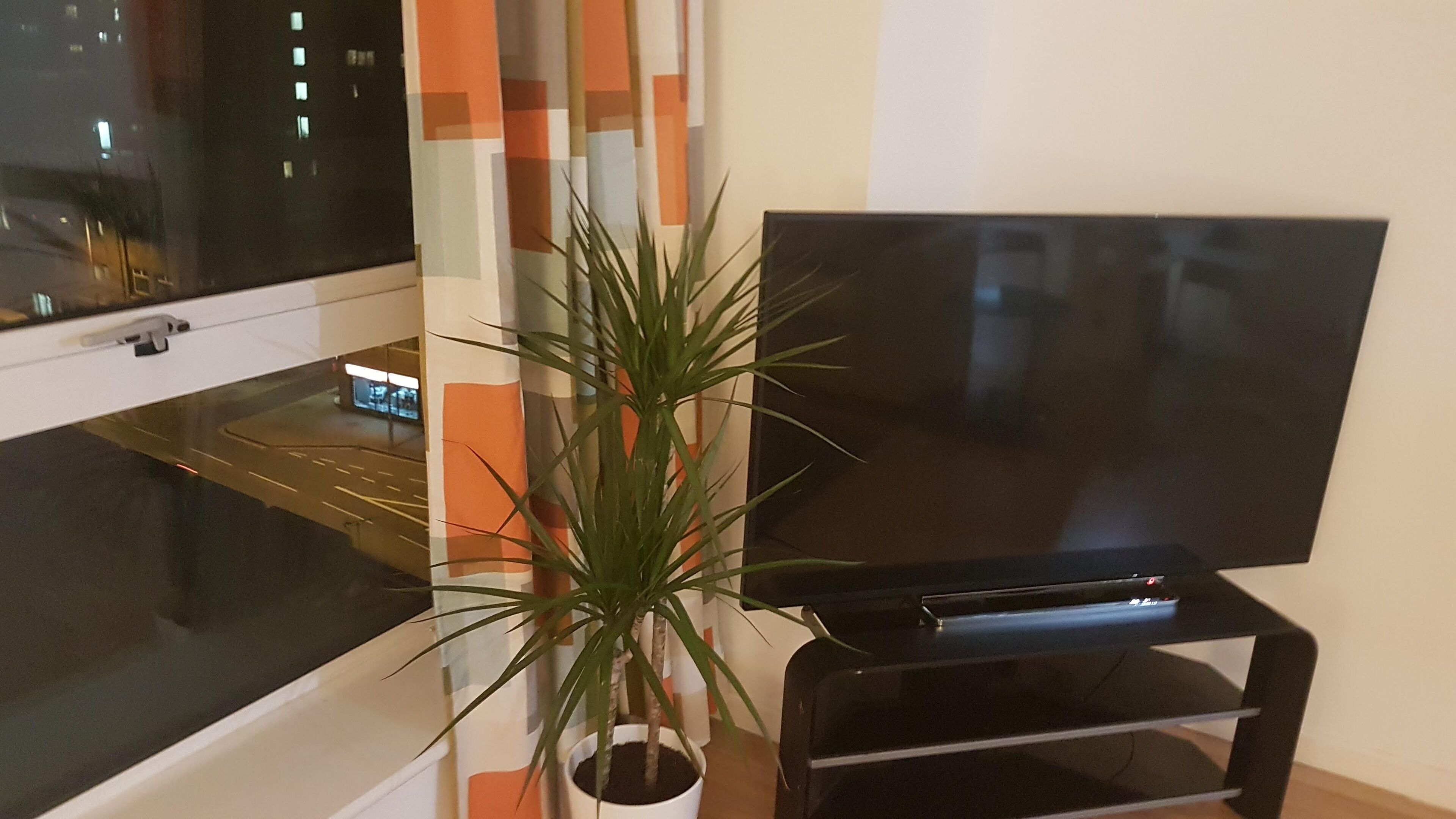 A living room with a large flat-screen TV on a black stand, a potted plant, and a window with a view of a building.