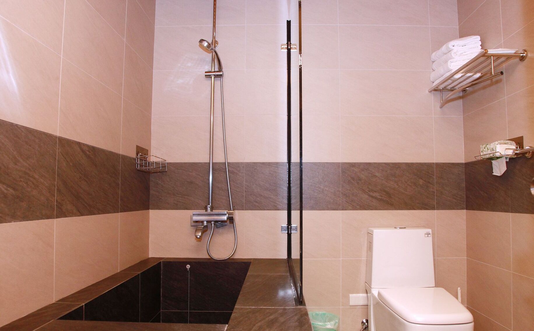 Une salle de bain équipée d’une douche, de toilettes et d’un porte-serviettes.