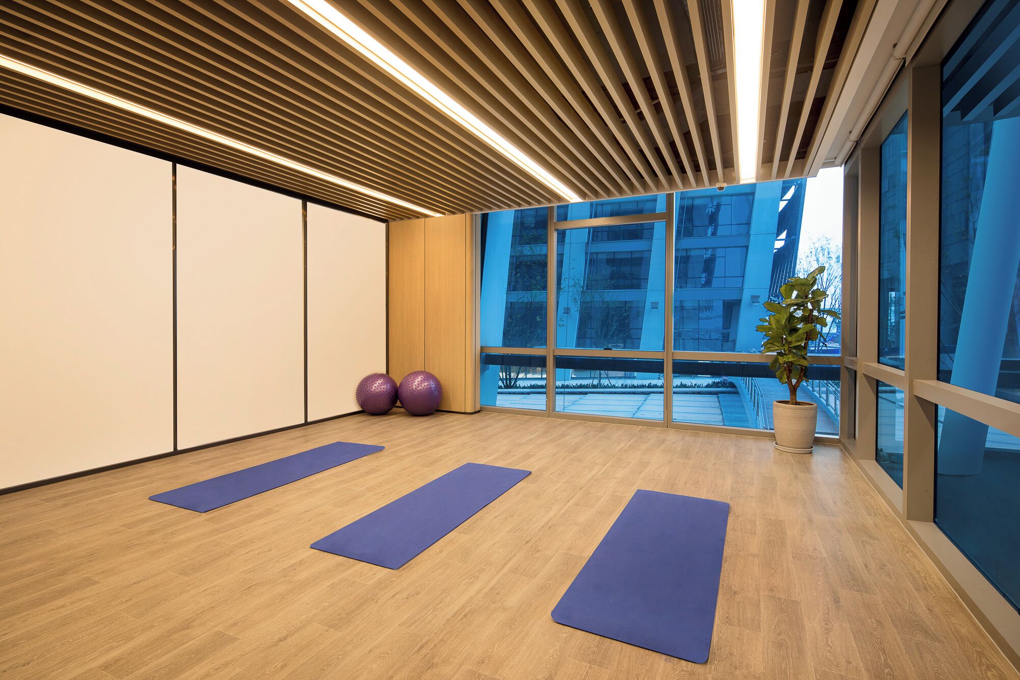 Un gimnasio moderno con suelos de madera, amplias ventanas y colchonetas de ejercicio.