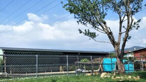 A paved pathway leading to a fenced area with a tree and a building in the background. - Morning Homestay (Puli)
