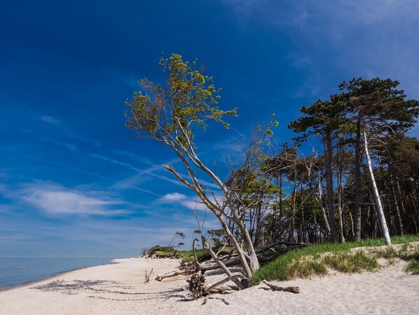 Beach - Schwedenglück Prerow (Ostseebad Prerow)