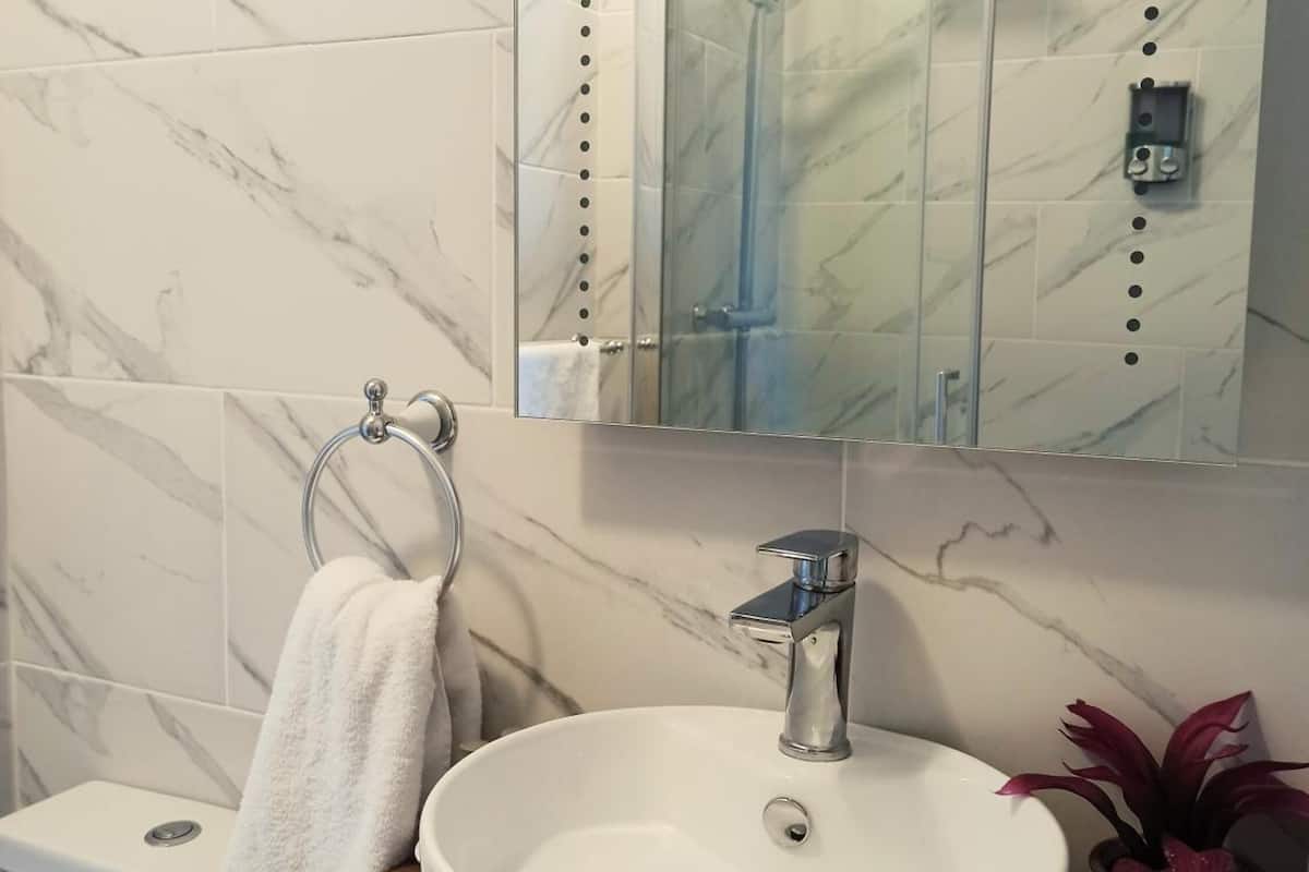 standard double room | bathroom | shower, hair dryer, towels, soap