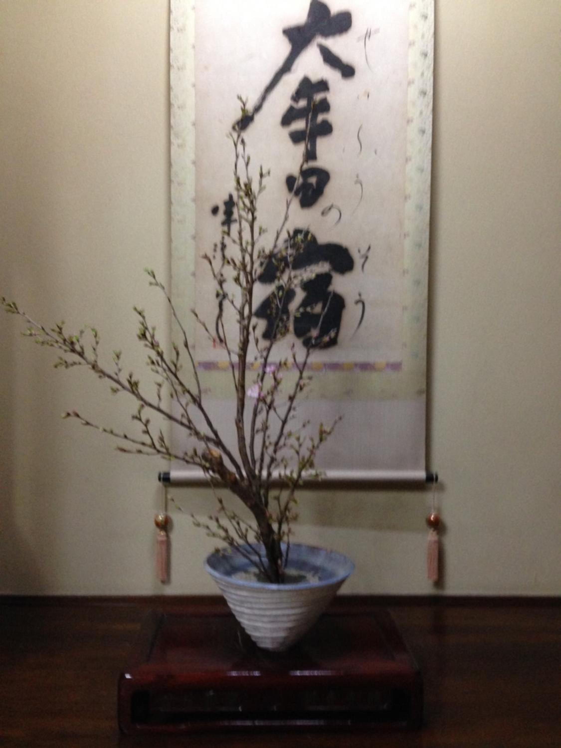 Eine traditionelle japanische Schriftrolle an einer Wand, ein Bonsai-Baum in einem Keramiktopf auf einem hölzernen Sockel.