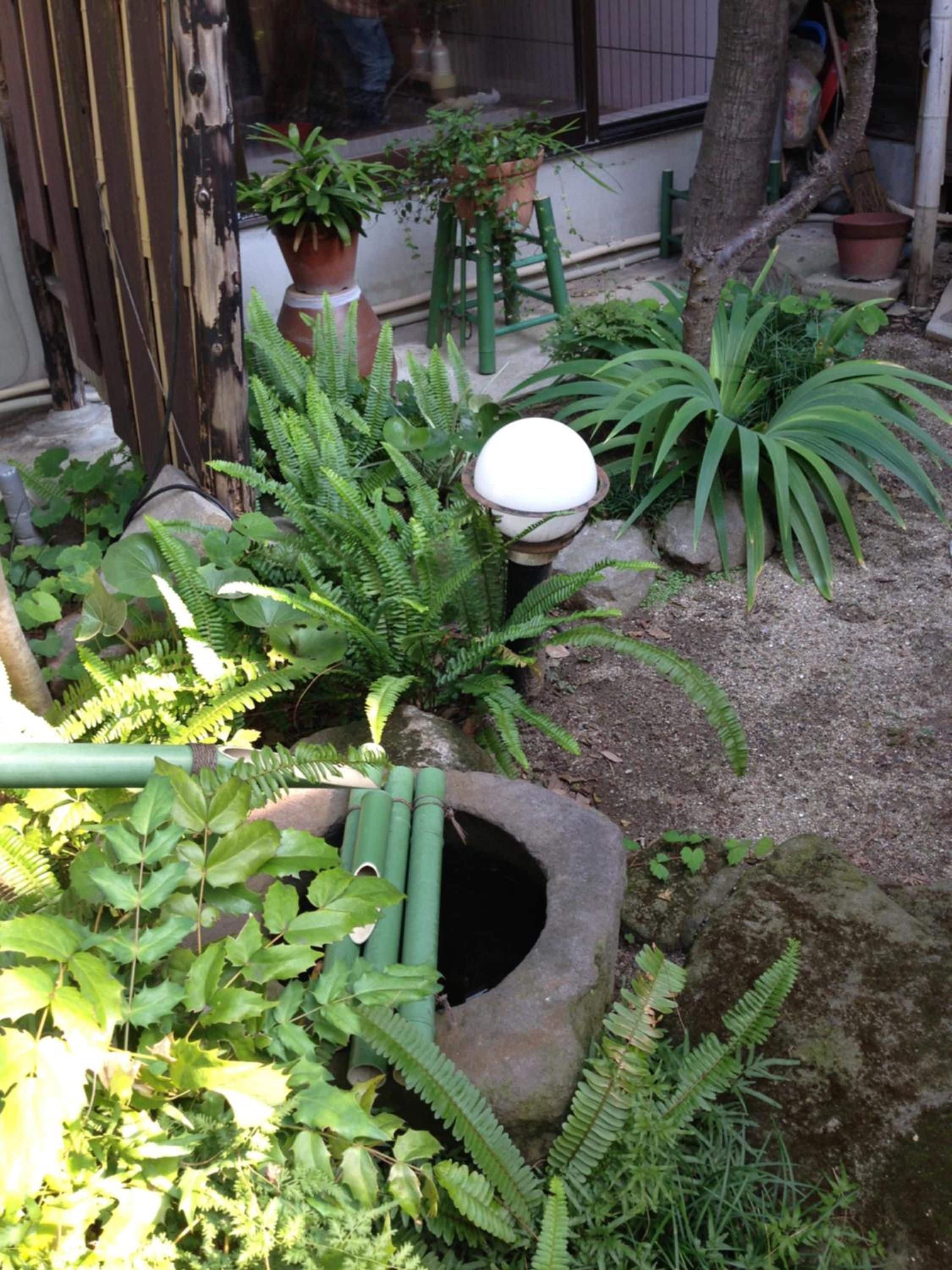 A garden with various plants, a stone planter, and a green pipe.
