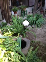 Un jardín con diversas plantas, una maceta de piedra y una tubería verde.