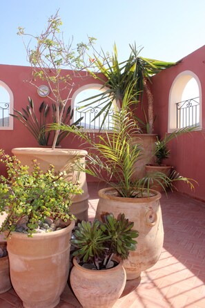 Property grounds - Tifawin Apartment (Mirleft)