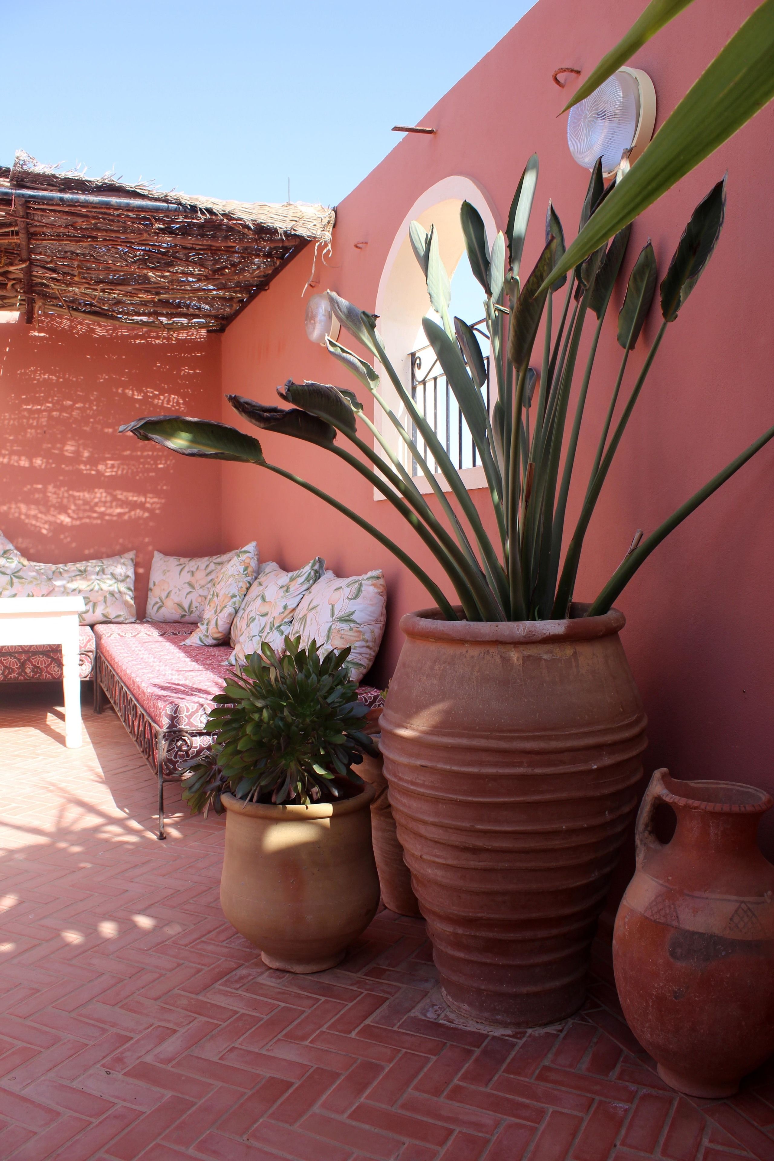 Teras/patio