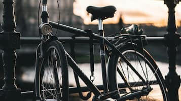 A bicycle parked by a railing with a water body in the background.