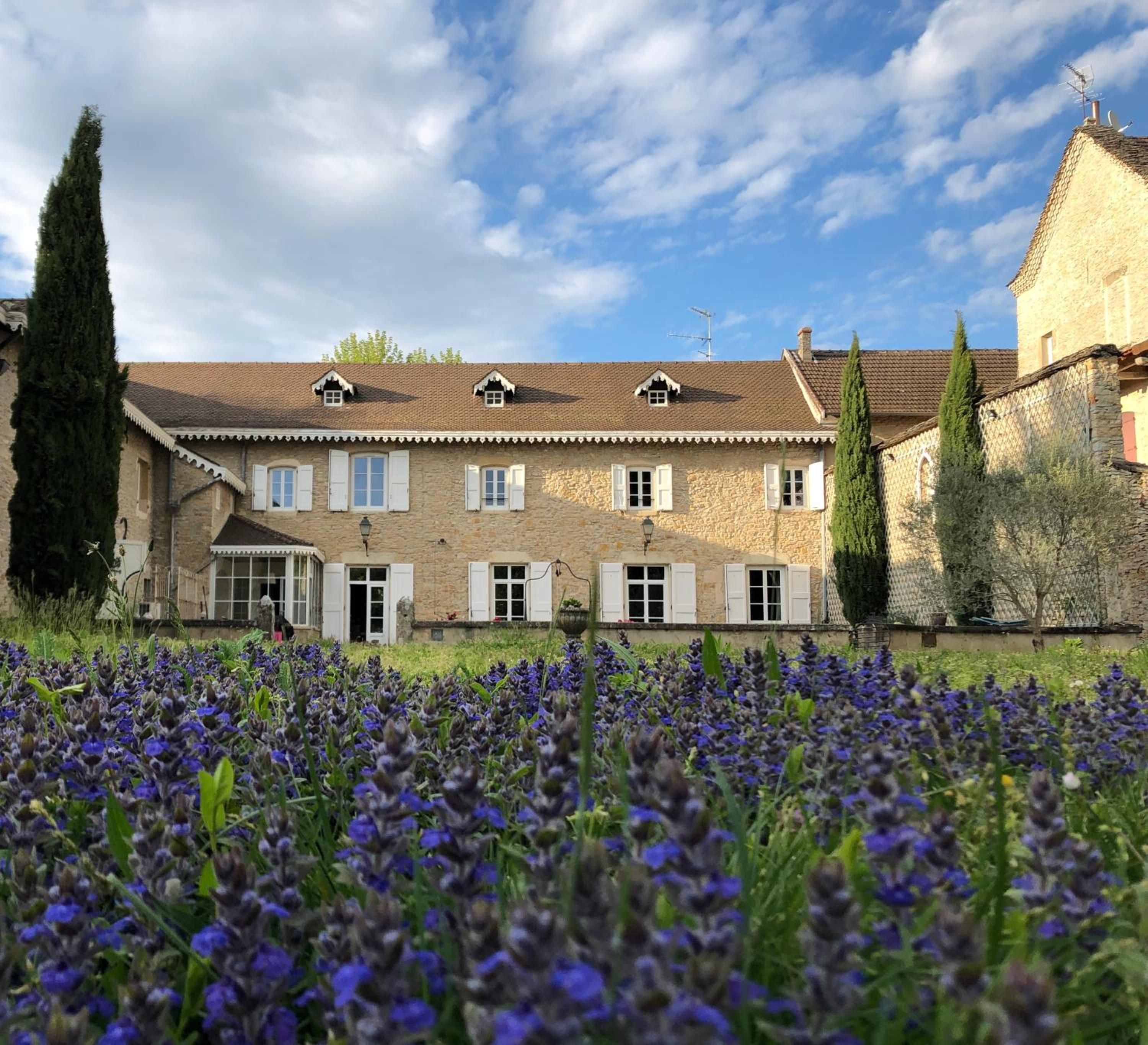 A stone building with multiple windows and a garden with purple flowers in front.