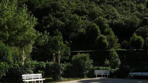 Una piscina con un banco y una mesa, rodeada de vegetación y una colina al fondo.