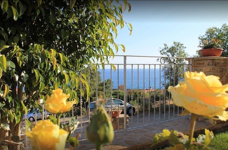 Jardín