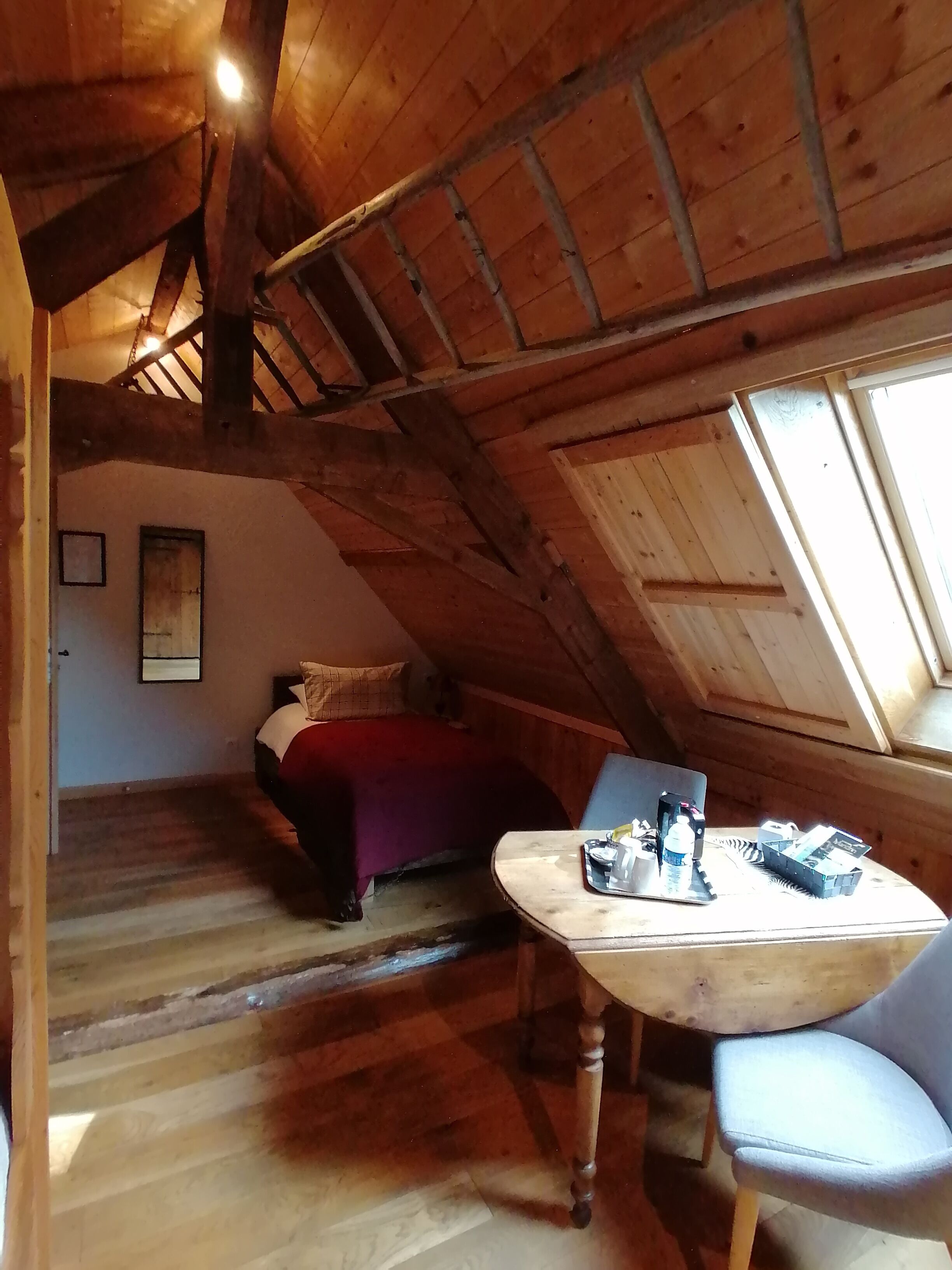 Classic-Vierbettzimmer | Schreibtisch, Verdunkelungsvorhänge, Bügeleisen/Bügelbrett