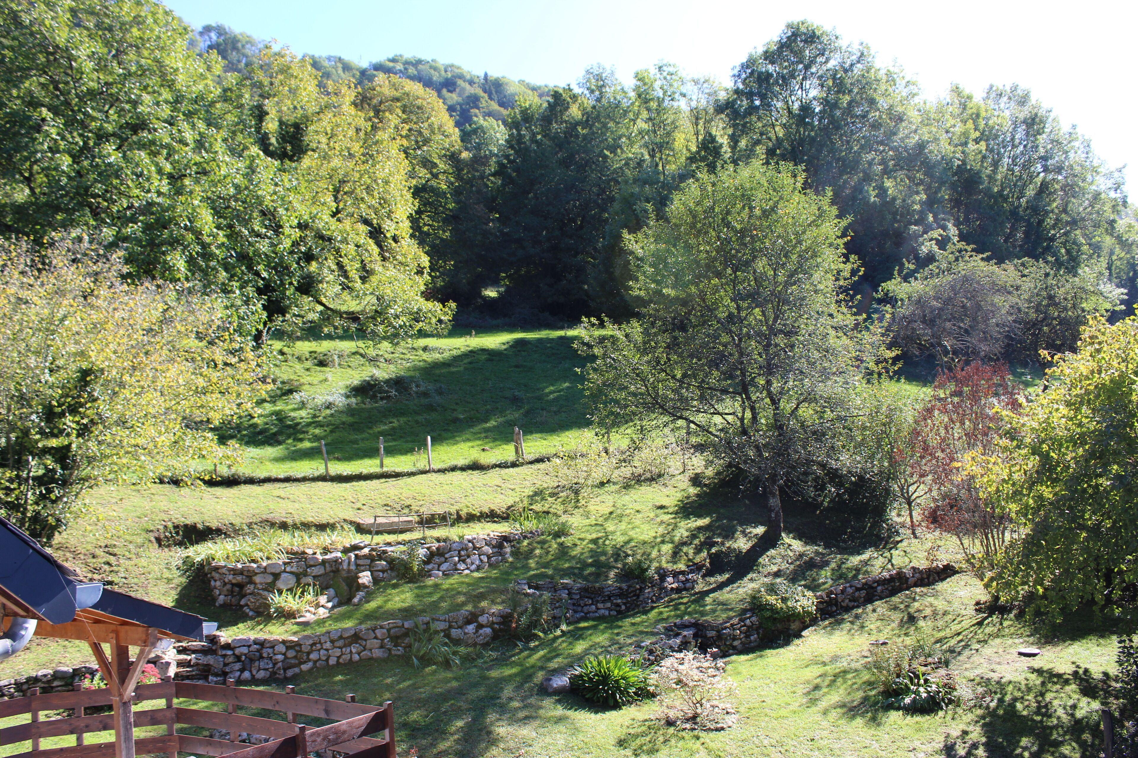 Um jardim exuberante com muros de pedra, um deck de madeira e diversas árvores.