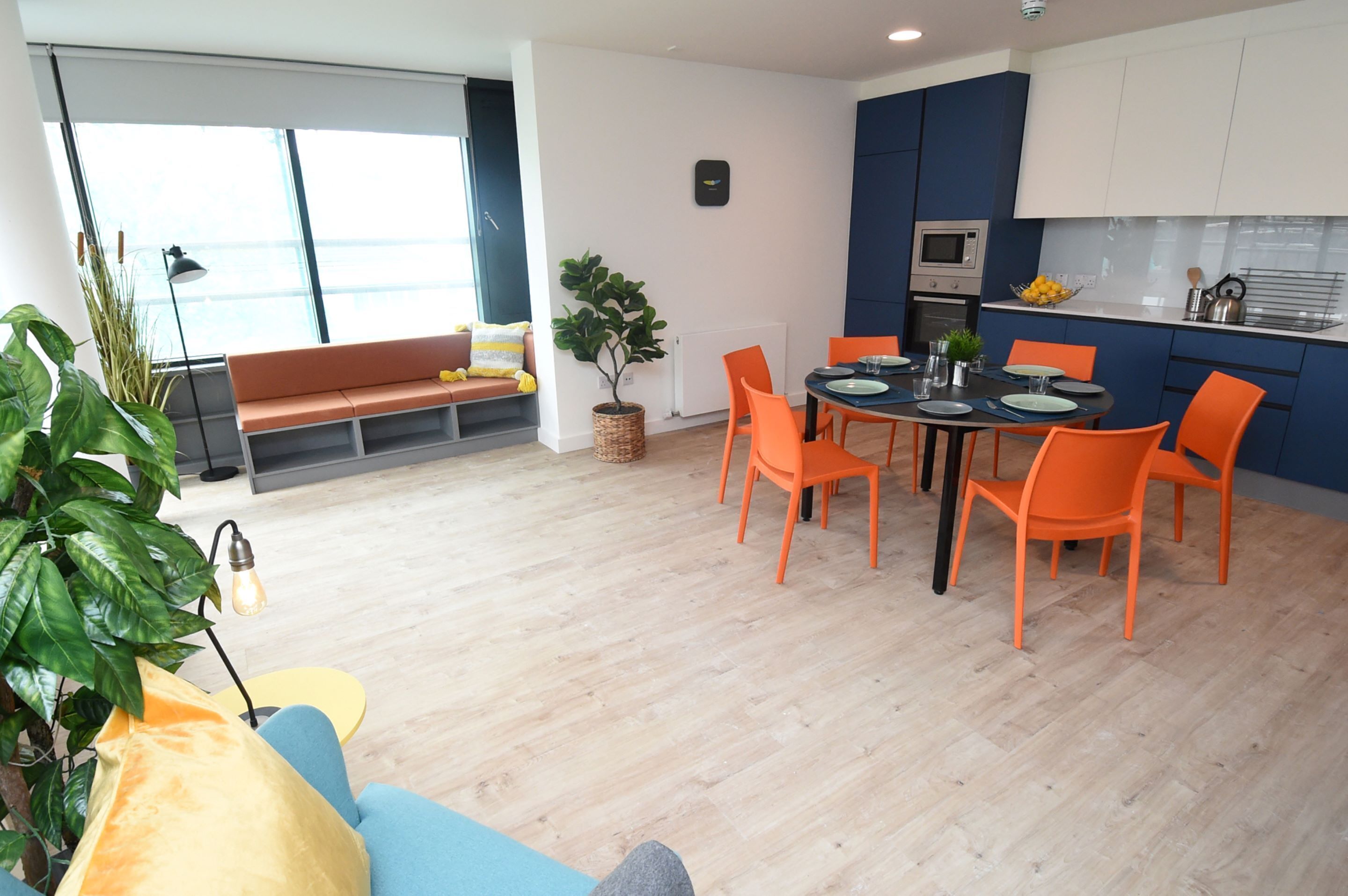 full-sized fridge, microwave, oven, stovetop