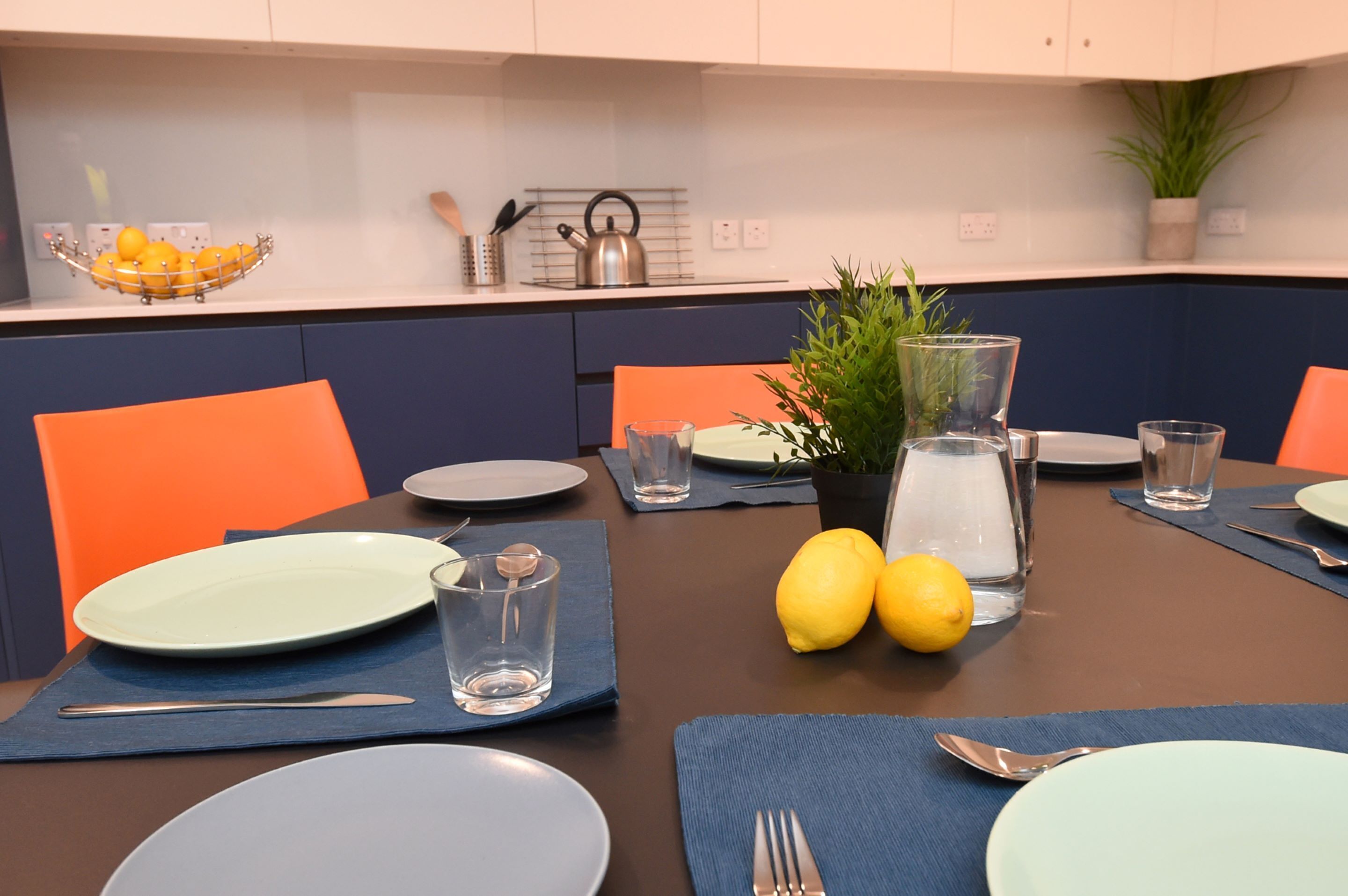 full-sized fridge, microwave, oven, stovetop