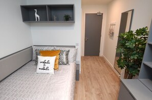 Desk, laptop workspace, iron/ironing board, free WiFi