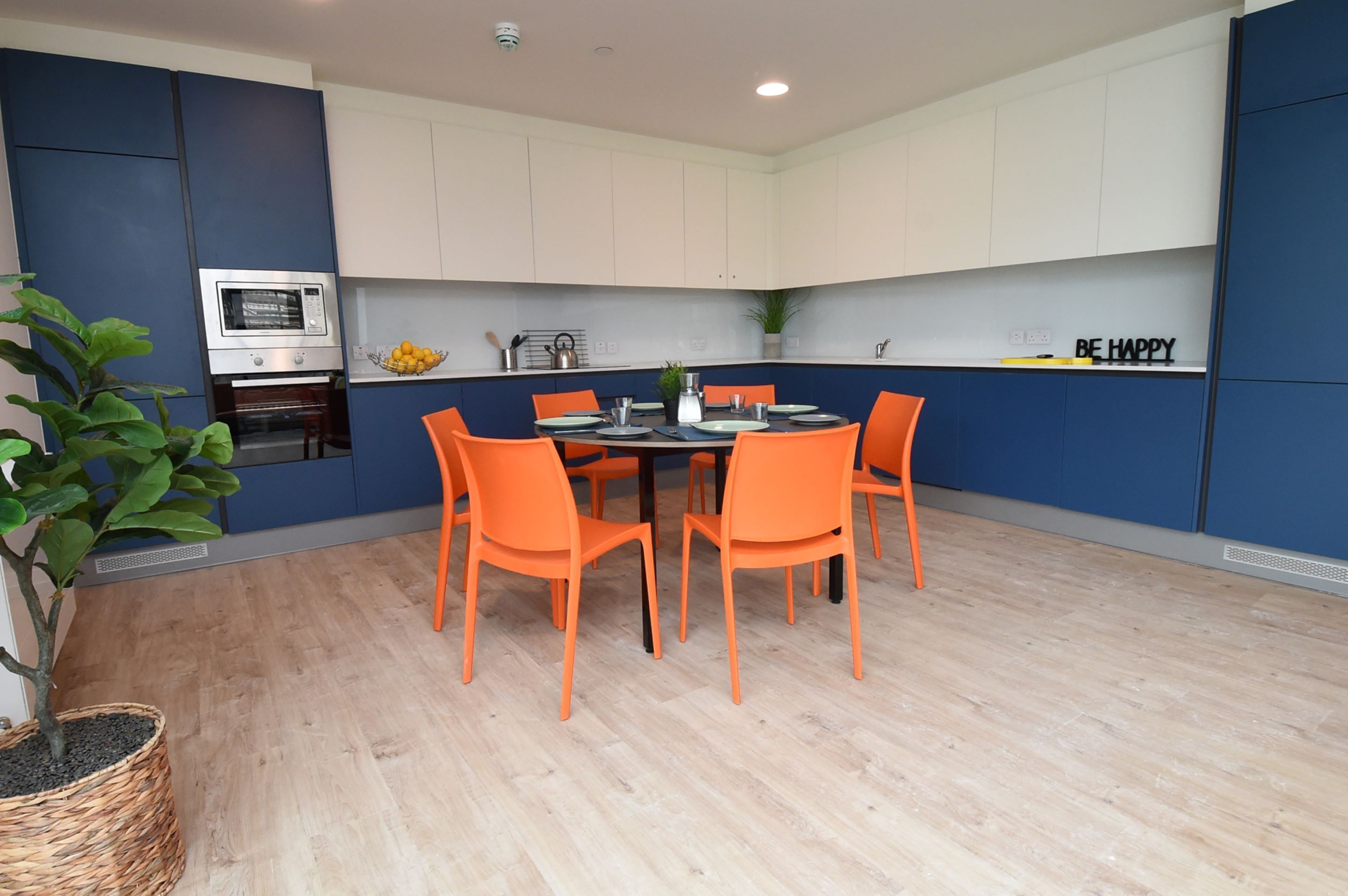 full-sized fridge, microwave, oven, stovetop