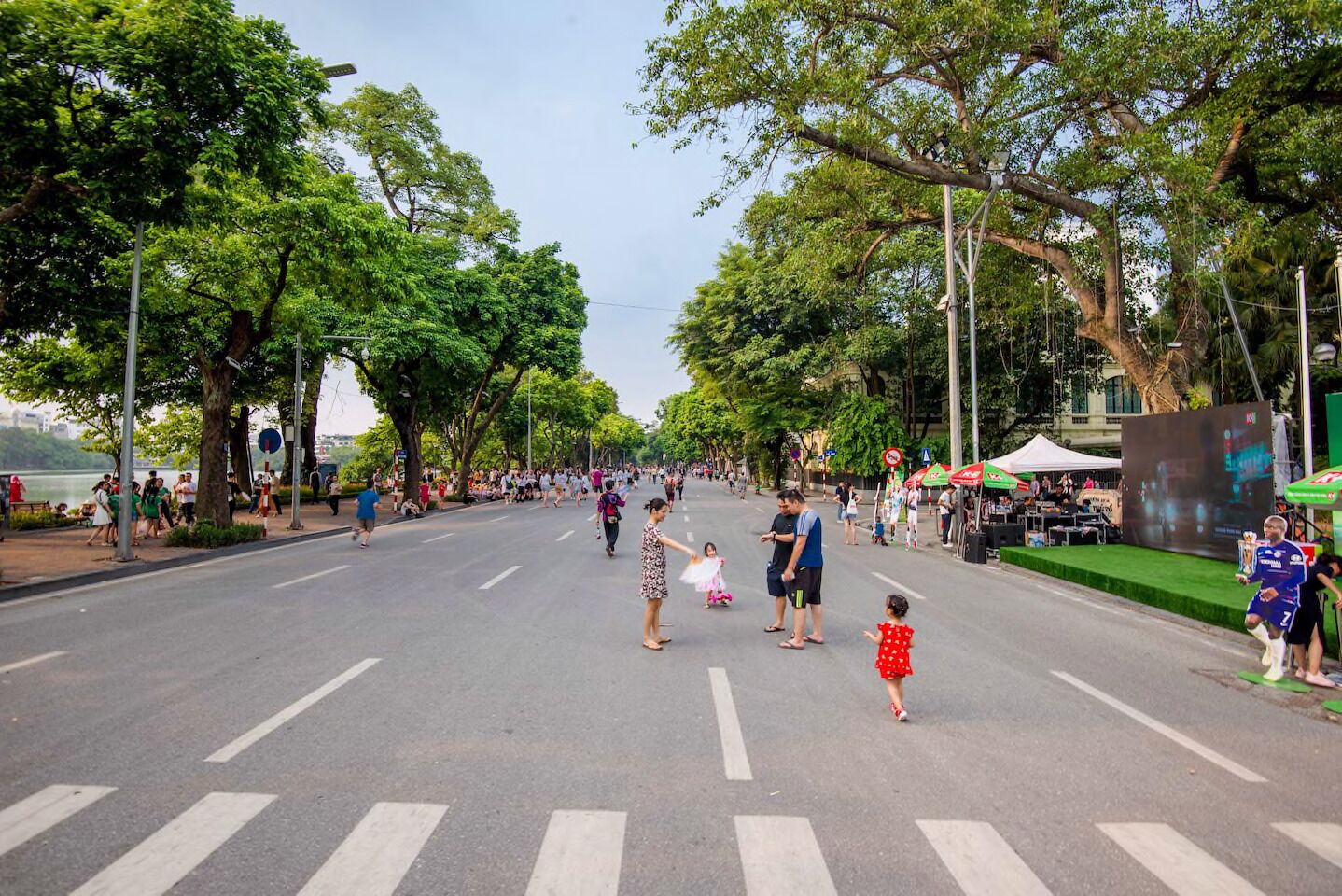 A wide street lined with trees and a pedestrian crossing.