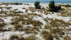 A beach with white sand and sparse vegetation under a clear blue sky. - 763 North Shore Upstairs 3 Bedroom Apts by RedAwning (Anna Maria)