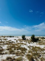 A beach with white sand and sparse vegetation under a clear blue sky.
