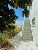 A concrete pathway leading to a white building with a window and a door.
