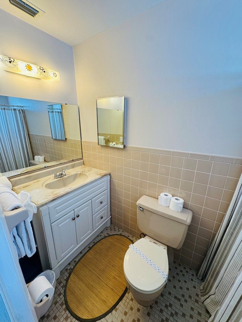 Une salle de bain avec un lavabo, un miroir, des toilettes et un petit tapis sur le sol.