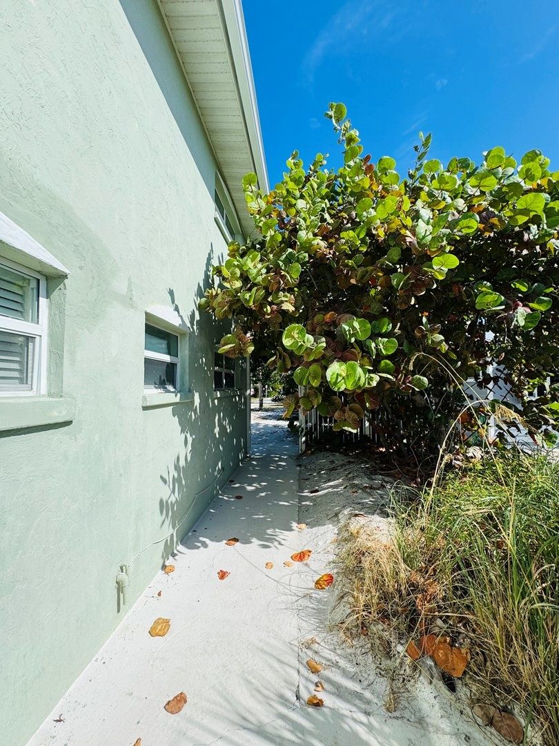 A narrow pathway flanked by a building with a light green exterior and a bush with green and reddish leaves.
