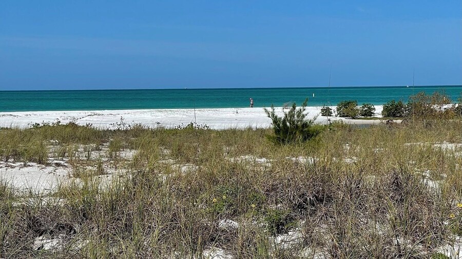 763 North Shore Downstairs 3 Bedroom Apts by RedAwning