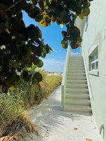 A concrete pathway leading to a white building with a window and a door.