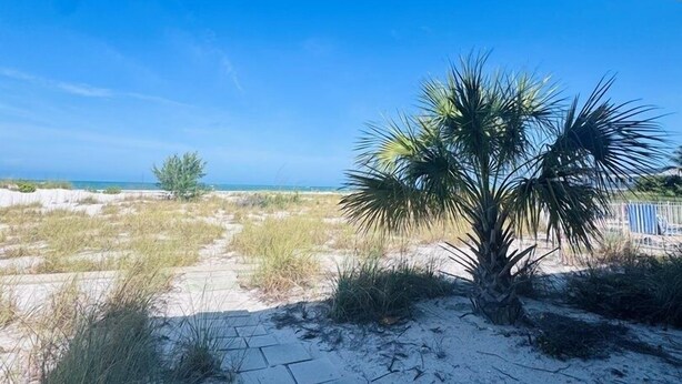 A view from under a structure with a palm tree and a distant tree, sandy ground, and a clear blue sky. - 763 North Shore Downstairs 3 Bedroom Apts by RedAwning (Anna Maria)
