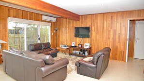 Televisión, chimenea, reproductor de DVD