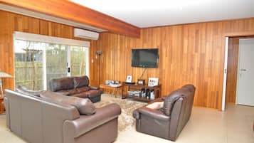TV, perapian, dan pemutar DVD