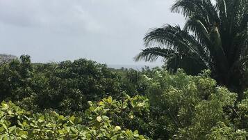 Land view from property
