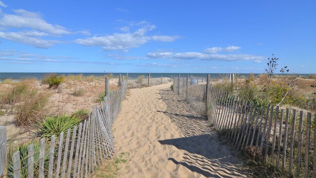 A sandy pathway bordered by wooden fences leading to the beach.