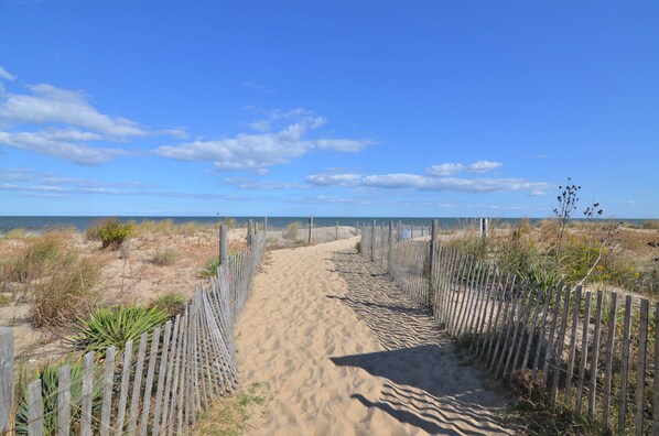 Playa en los alrededores