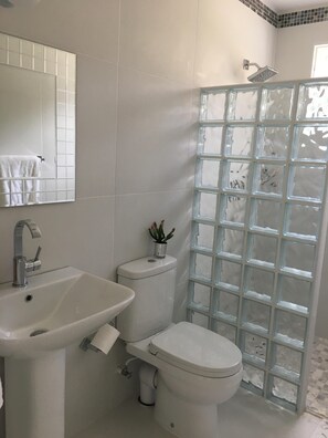 Secadora de cabello, toallas, papel de baño 