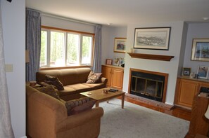 TV, fireplace, DVD player, books