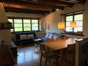 TV, fireplace - Beautiful duplex penthouse in Viella (Viella)