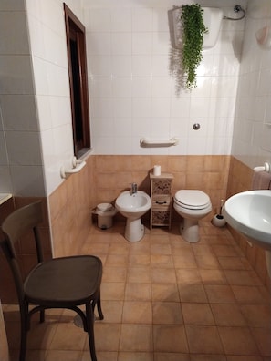 Shower, hair dryer, bidet, towels