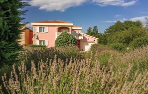 Stunning two-story home surrounded by lush greenery and a field of lavender, featuring a balcony and garage.
