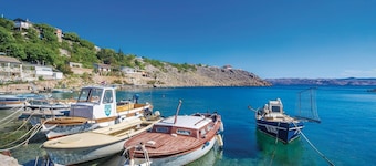 Amazing home in Cesarica with WiFi