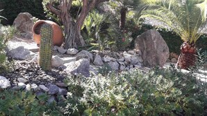Ein Garten mit verschiedenen Pflanzen, einem großen Kaktus und einer Steinmauer.