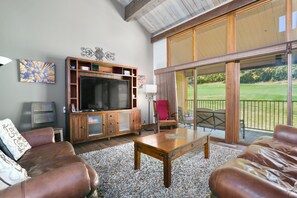 Flat-screen TV