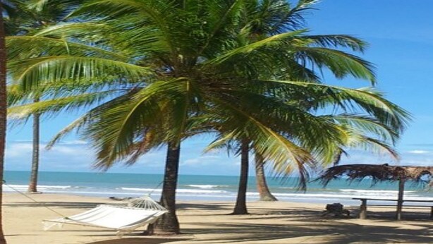 A beach with palm trees, a hammock, and a thatched structure. - Paraiso in Bahia - house by the sea in the middle of coconut trees (Belmonte)