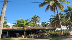 A house with a tiled roof, surrounded by palm trees and a grassy yard. - Paraiso in Bahia - house by the sea in the middle of coconut trees (Belmonte)