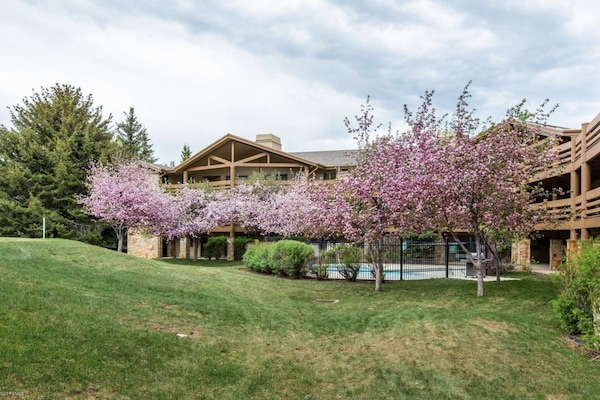 Spring and summer are amazing in Park City!