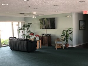 TV, lettore DVD, tavolo da ping pong, videoteca