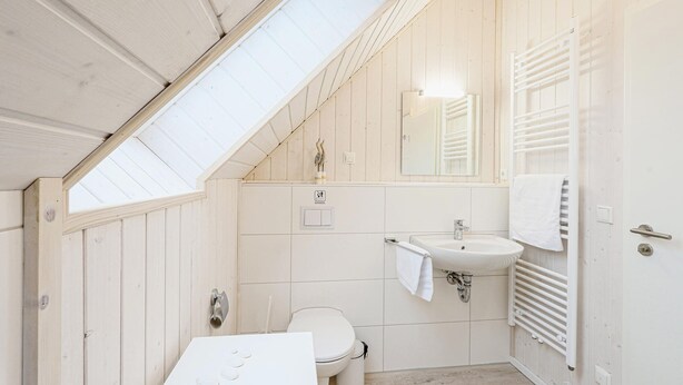 A small, white bathroom with a skylight, a toilet, a sink, and a mirror.