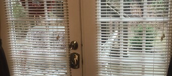 Stone Mountain Star- Ck Discounts. 20 minutes; Decatur Emory school & Hospital